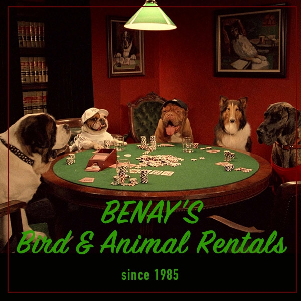 BENAYS BIRD & ANIMAL RENTALS