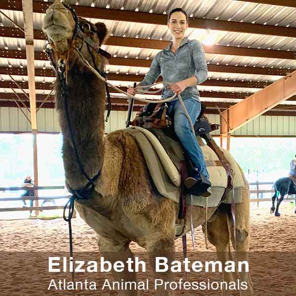 ELIZABETH BATEMAN | Animal Trainer